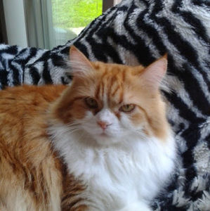 Meet your Posher, Zoe